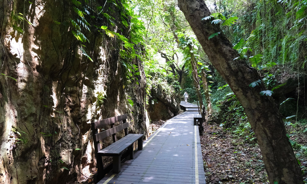 小琉球 山豬溝生態步道