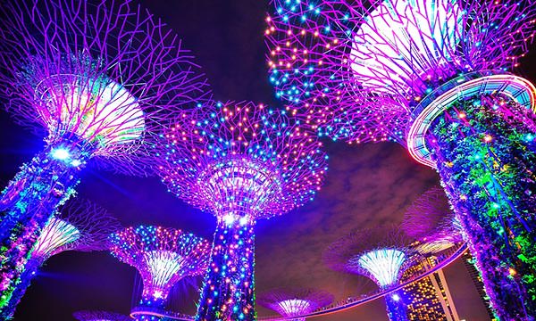 新加坡必訪景點 濱海灣花園