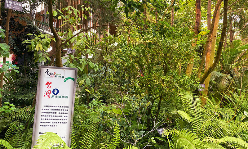 典藏植物園 台灣原生植物