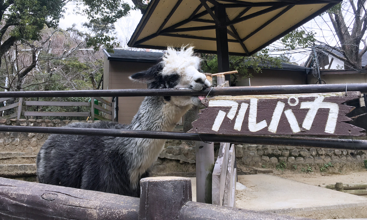 池田五月山動物園
