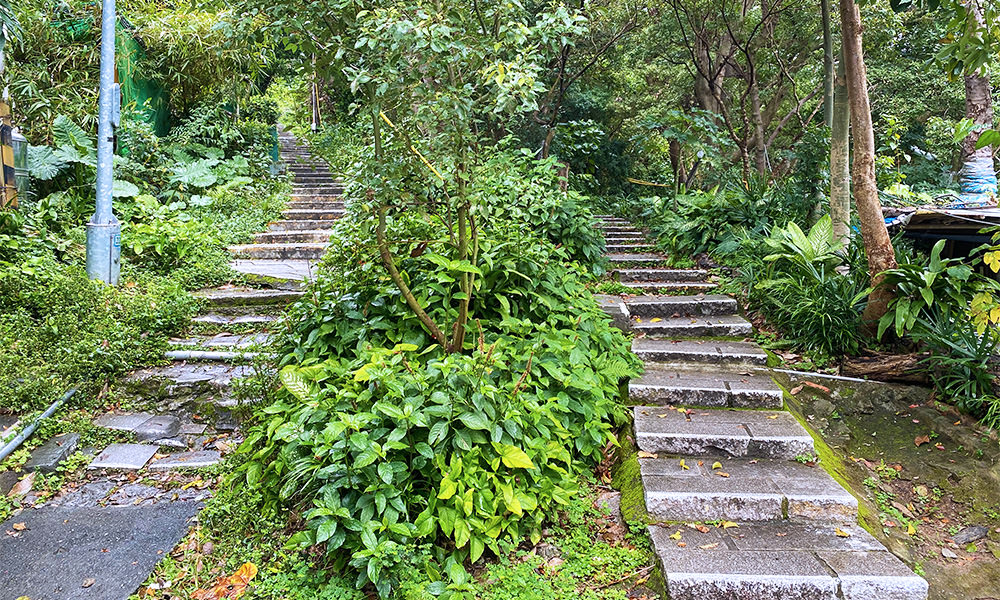 台北大縱走第五段 入口的長階梯