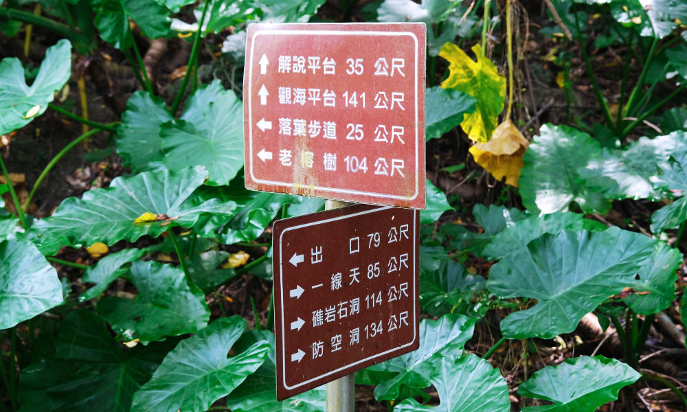 山豬溝生態步道 指示牌