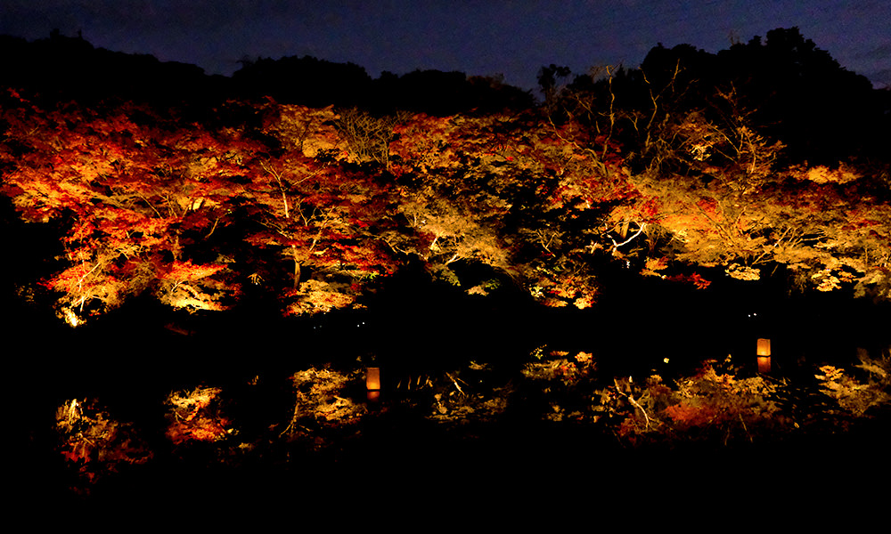 御船山樂園 紅葉祭夜楓