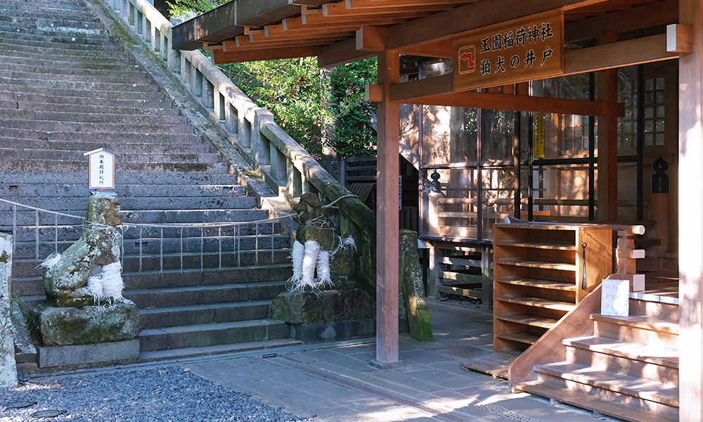 諏訪神社的狛犬