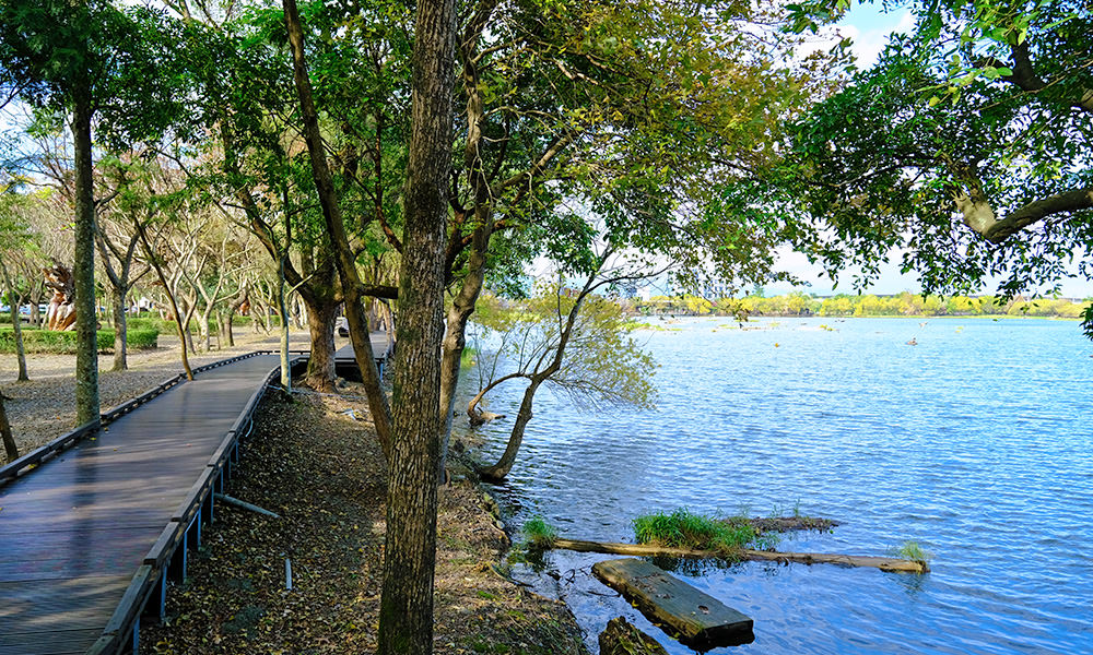 羅東林業文化園區 貯木池