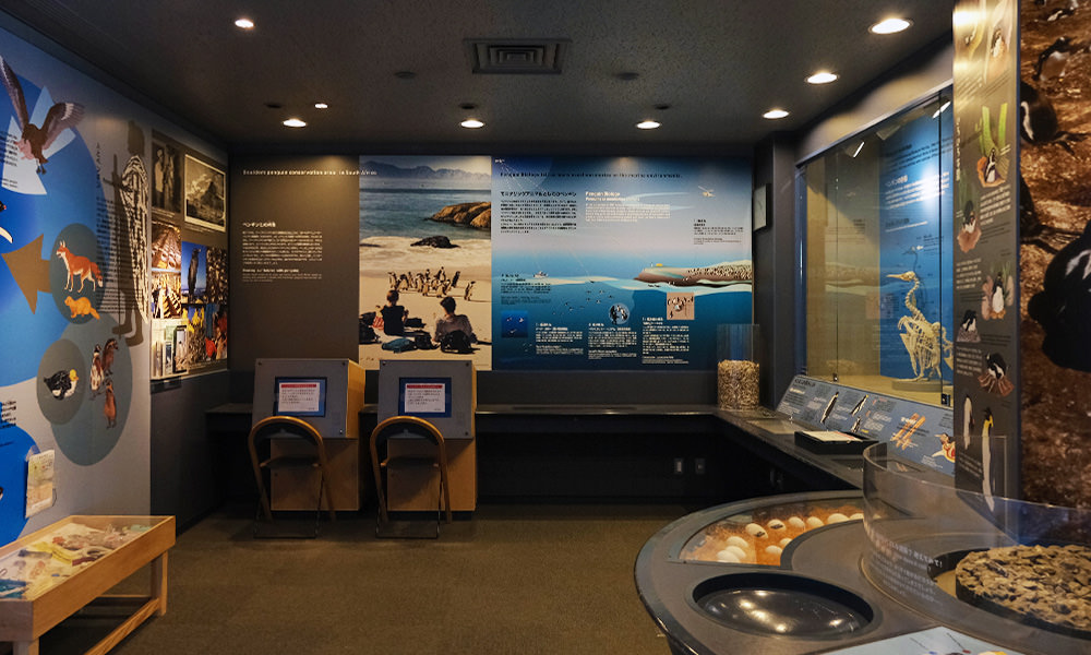 長崎企鵝水族館 企鵝資訊室