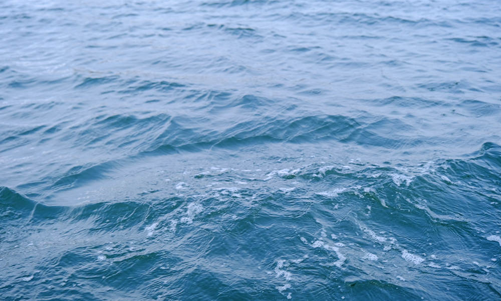 小樽的海水是綠的
