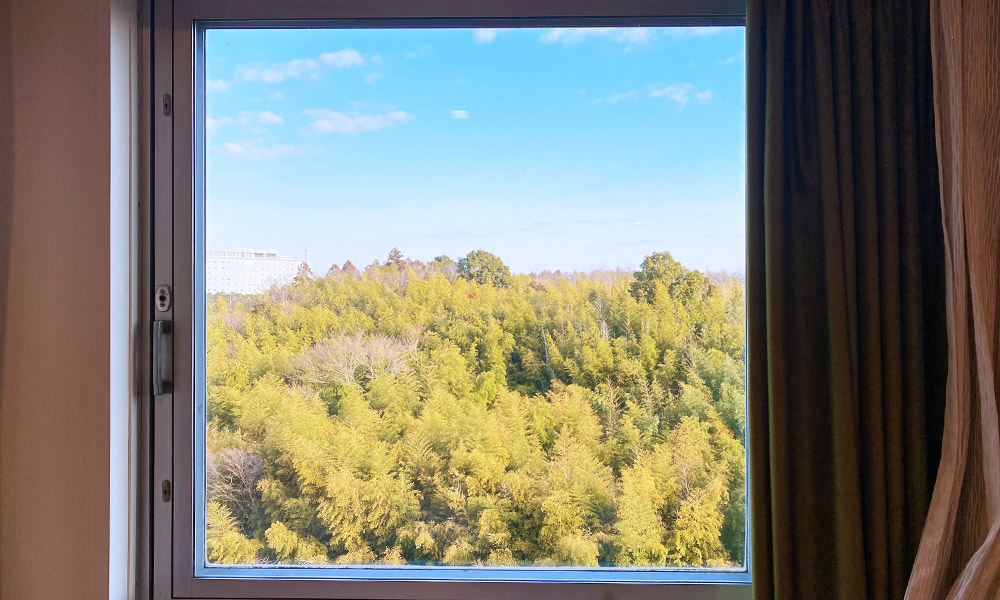 成田東武機場酒店 窗外景色