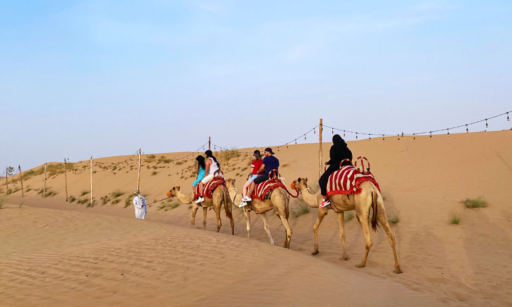 杜拜衝沙 半日遊包含騎駱駝