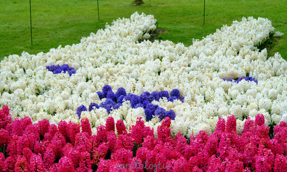 花卉排成的米飛兔
